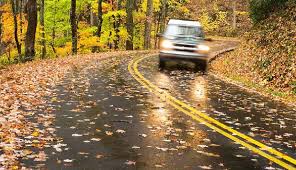 fall-driving-picture